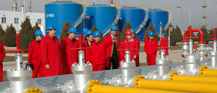 ȼ��͟���ˮԡʽ�ӟ���ȼ��������,ȼ���O��,ȼ���{����,ȼ���{����,ȼ���{���b��,�Ї��K�ݰ���ȼ���O��W